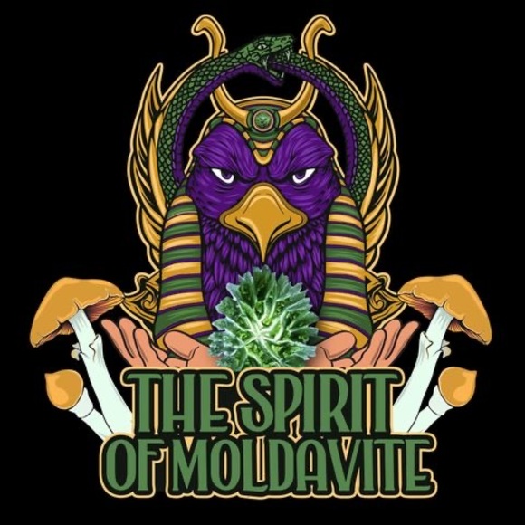 Meet your Posher, Rasheed - Picture 1 of 1